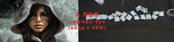 винт Коряжма
