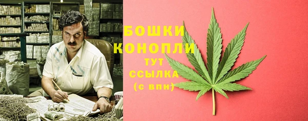 винт Костерёво