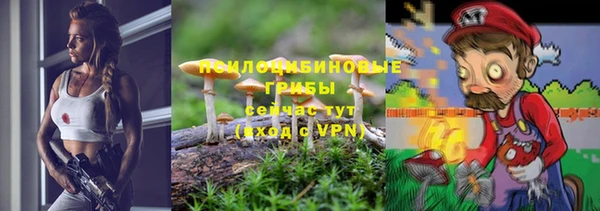 винт Костерёво