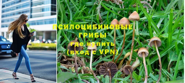 винт Костерёво
