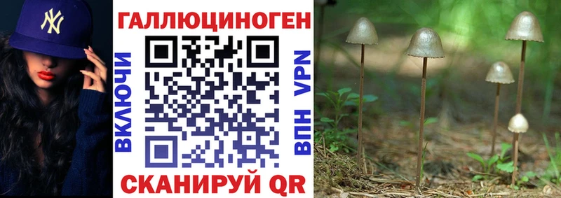 Купить закладки  Камешково  Галлюциногенные грибы Psilocybine cubensis 