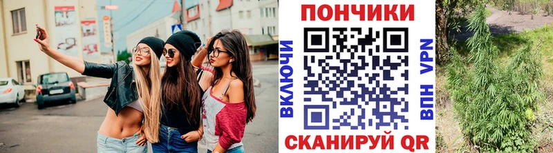 Канабис планчик  Купить закладки  Камешково 